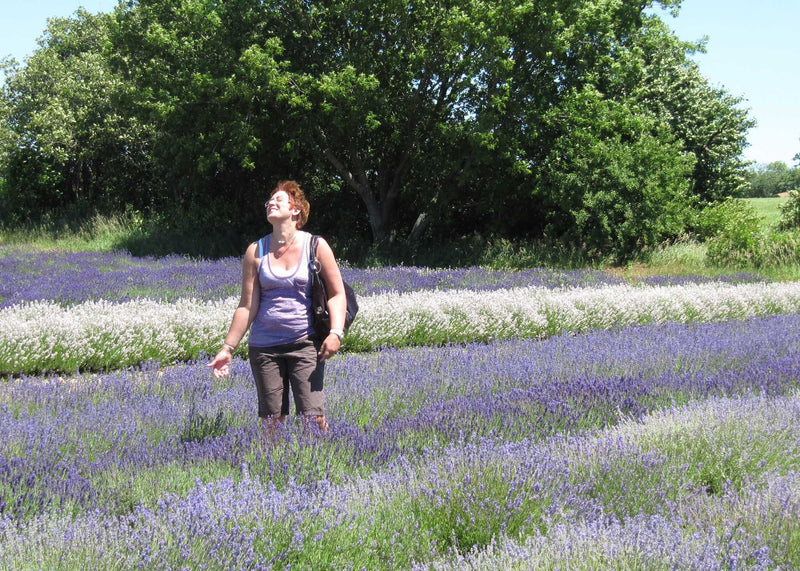 Woman in lavender field in Prince Edward County